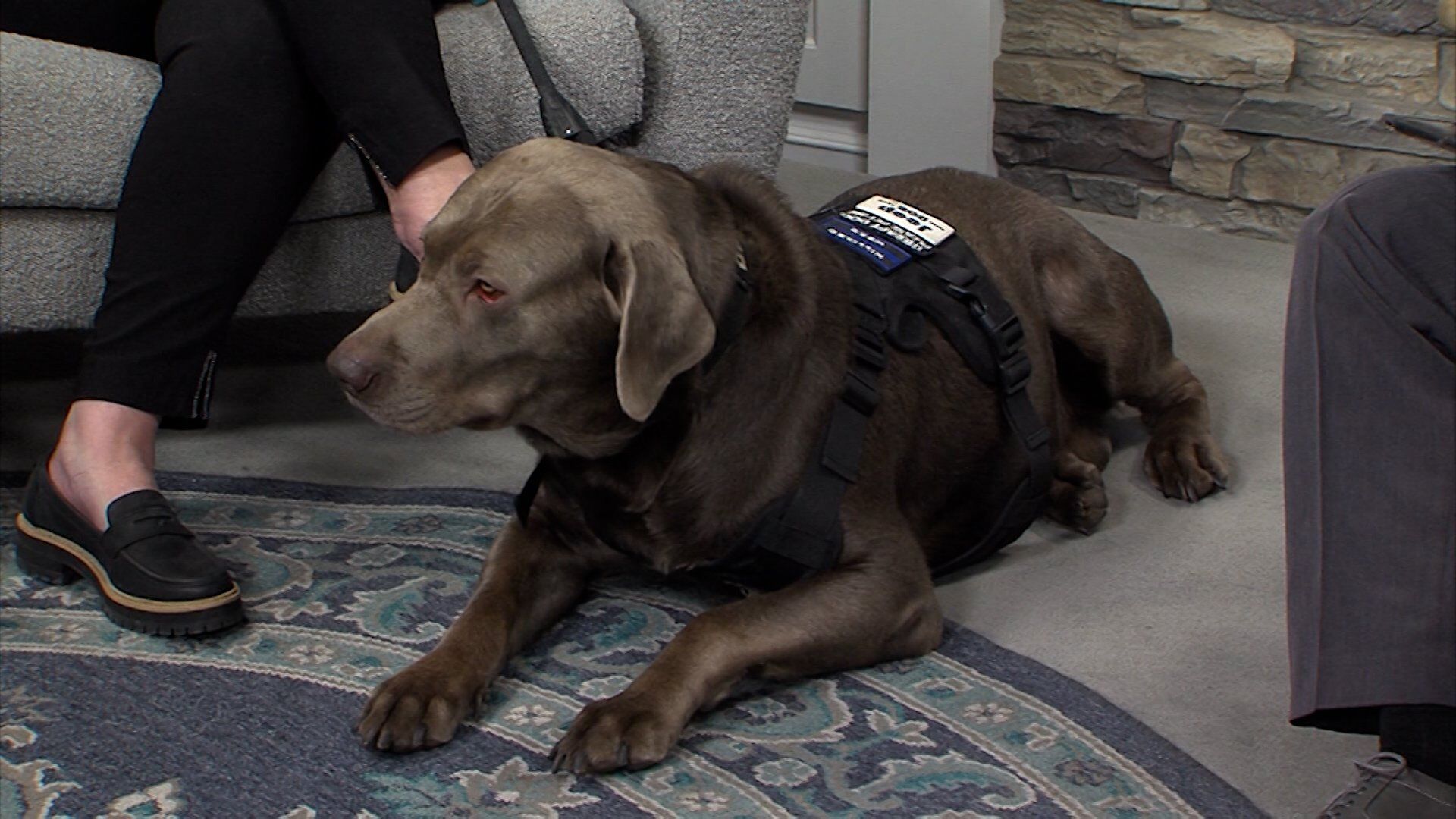 Behind The Line is Providing Support and Therapy Dog Programs to Help Veterans and First Responders